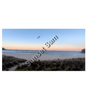 Peaceful Beach, front - AS Colour Womens Ringer Tee Design
