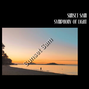 Beach stroll, front - AS Colour Womens Supply Crew Design