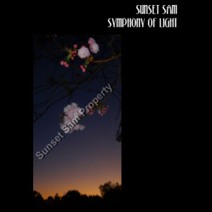 Cherry blosssoms  night sky, front - Black Tea Towel Design