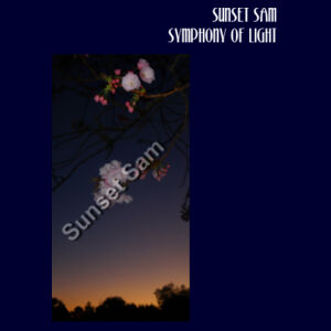 Cherry blosssoms  night sky, front - Apron Design