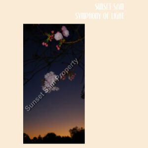 Cherry blosssoms  night sky, front - Drawstring Backpack Design