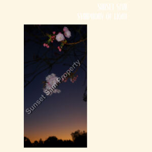 Cherry blosssoms  night sky, front - AS Colour Parcel Tote Design