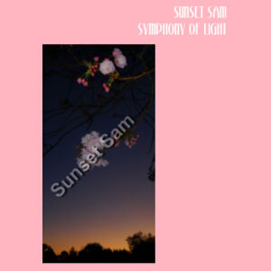 Cherry blosssoms  night sky, front - AS Colour Carrie Tote Bag  Design