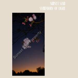 Cherry blosssoms  night sky, front - Heavy Duty Canvas Tote with Gusset  Design
