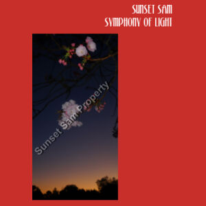 Cherry blosssoms  night sky, front - Tote Bag Design