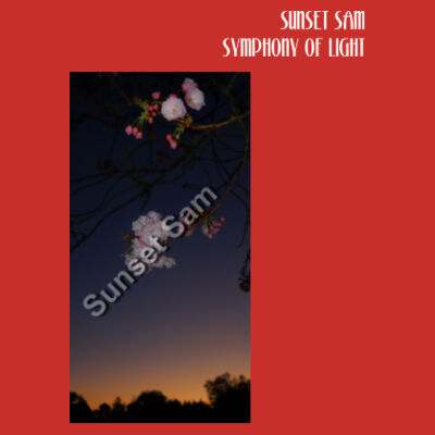 Cherry blosssoms  night sky, front - Tote Bag Design