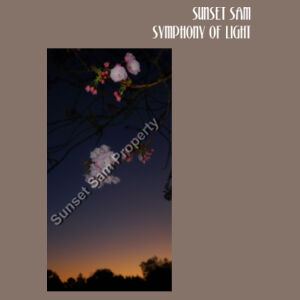 Cherry blosssoms  night sky, front - AS Colour Womens Terry Skirt Design
