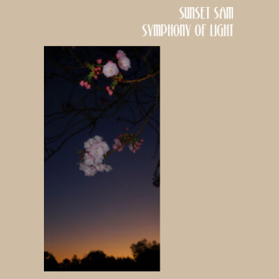 Cherry blosssoms  night sky, front - AS Colour Womens Stencil Hood Design