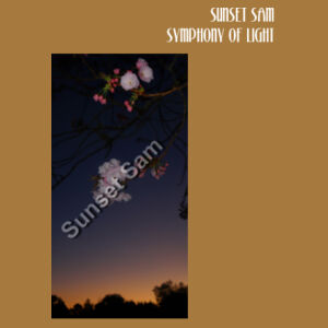 Cherry blosssoms  night sky, front - AS Colour Womens Sunday Singlet Design