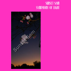 Cherry blosssoms  night sky, front - JB's Ladies Tee Design