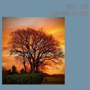 Tree of fire - AS Colour Denim Carrie Tote Design