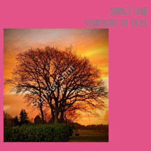 Tree of fire - AS Colour Womens Relax Hood Design