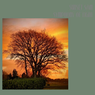 Tree of fire - AS Colour Womens Premium Hood Design