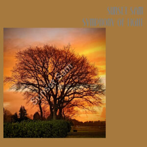 Tree of fire - AS Colour Womens Sunday Singlet Design