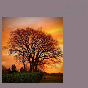 Tree of fire - AS Colour Womens Premium Crew Design