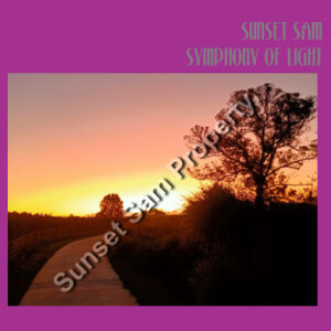 Pathway to Paradise, front - Tote Bag Design