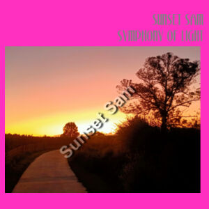 Pathway to Paradise, front - JB's Ladies Tee Design