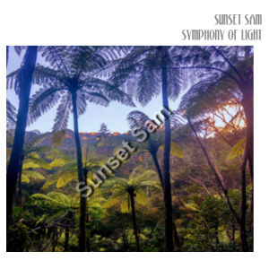 Ponga Paradise front - Pillowcase  Design