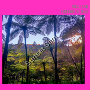 Ponga Paradise front - JB's Ladies Tee Design