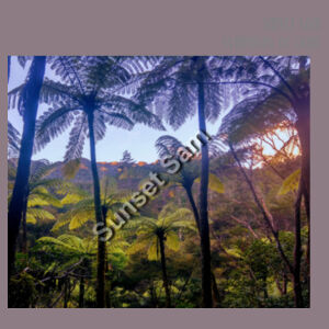 Ponga Paradise front - AS Colour Womens Premium Crew Design