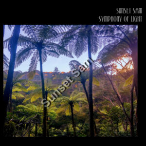 Ponga Paradise front - AS Colour Womens Supply Crew Design