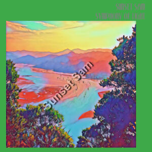Seaview Vivid, front - JB's Cross Back Canvas Apron Design