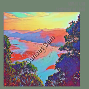 Seaview Vivid, front - AS Colour Womens Mali Tee Design