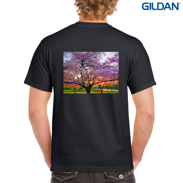 Cherry blossom peace - Gildan Mens Heavy Cotton T-Shirt Thumbnail