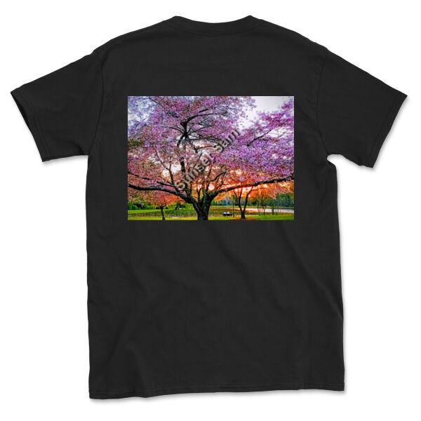 Cherry blossom peace - Gildan Mens Softstyle T-Shirt Thumbnail