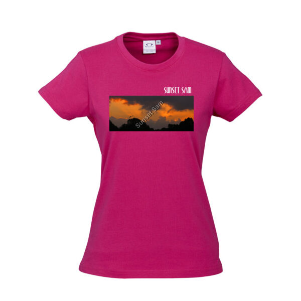 Through the storm, front - Biz Collection Ladies Ice Tee Thumbnail