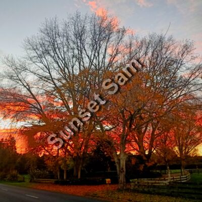 Home sweet home Thumbnail