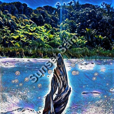 Driftwood Magic  Thumbnail